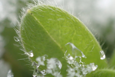 P1240037