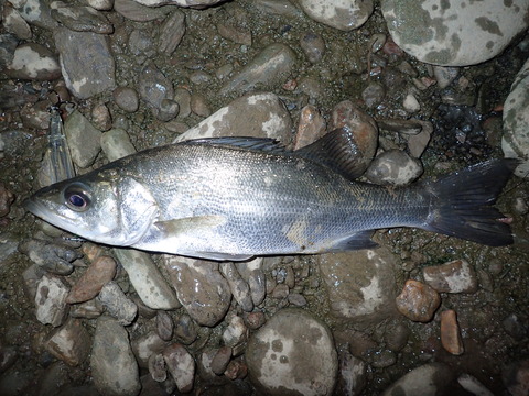 P9030990
