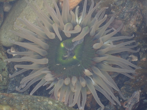 P2210119