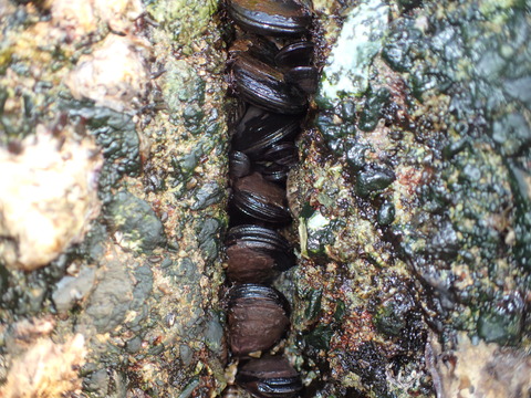 P2210117