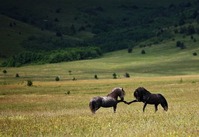 img_20091023T010934171