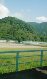 �ˤ���󤫤�μ���