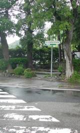 33170b55.jpg
