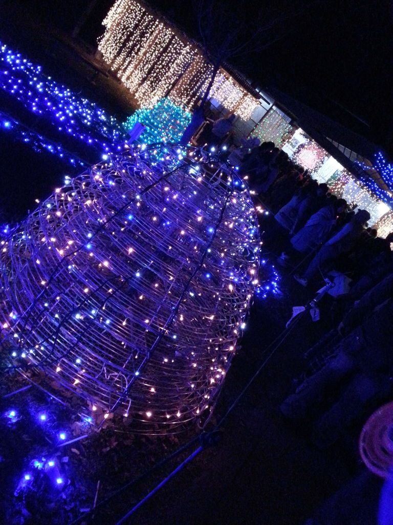 20151220_183355