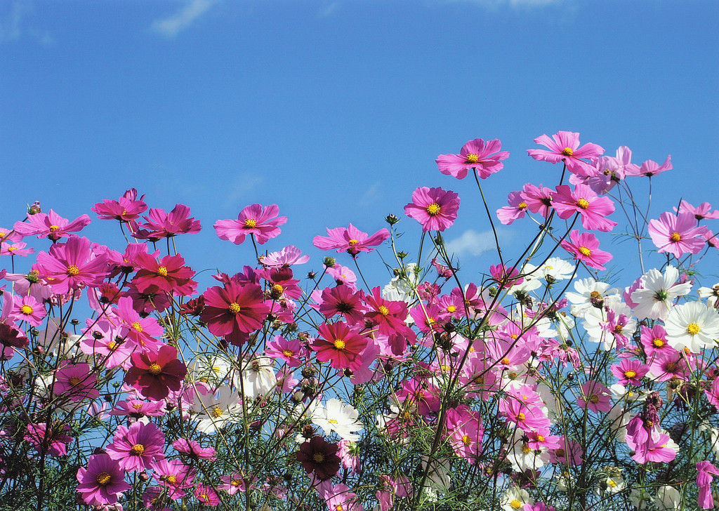 0_00009320_gazou1_n