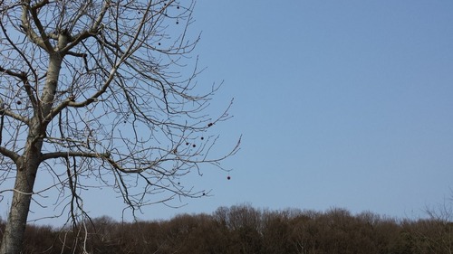 20140309_103851