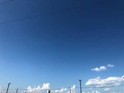 IMG_1135