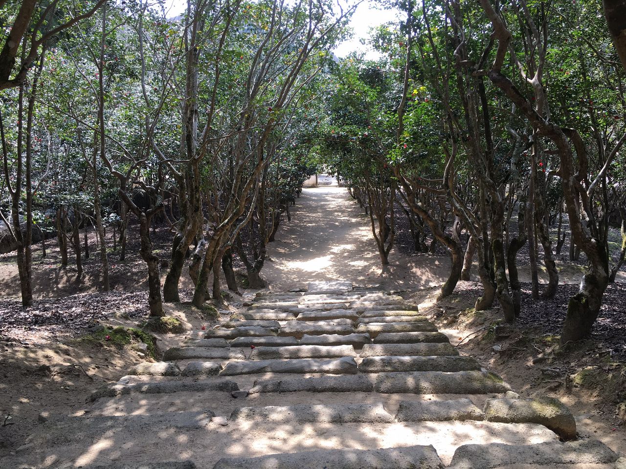 image13