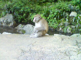 20100816163345