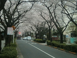 CIMG0113