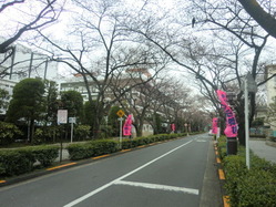 CIMG9886