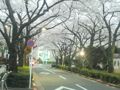 CIMG0132