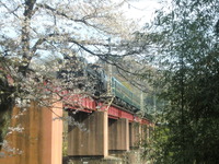 CIMG7226