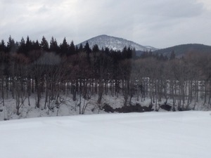 IMG_9780