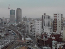 73b1a725.jpg