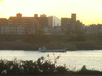 CIMG2501