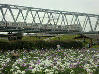 CIMG9109
