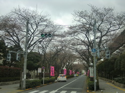 CIMG9876