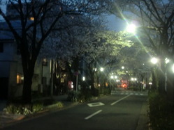CIMG0142