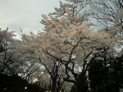 CIMG0124