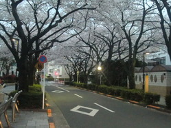 CIMG0130