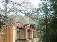 CIMG7225