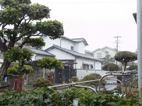 RIMG0011