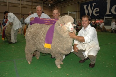 John_Hamish_and_Jock_with_N060984_Best_Ewe_of_Sydney_Royal_2008
