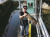 IMG_0118