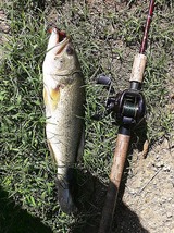 IMG_0098