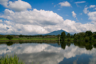 SDIM9868_lx