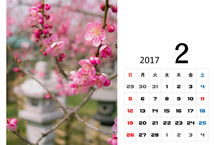 2月