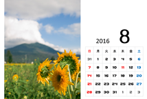 8月