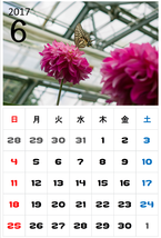 6月