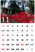 11月