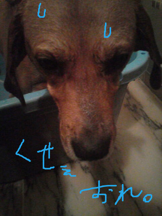BlogPaint