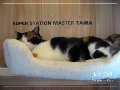 joli!joli!のおうちごはんとおかしとねこ♪