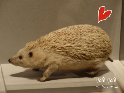 joli!joli!のおうちごはんとおかしとねこ♪