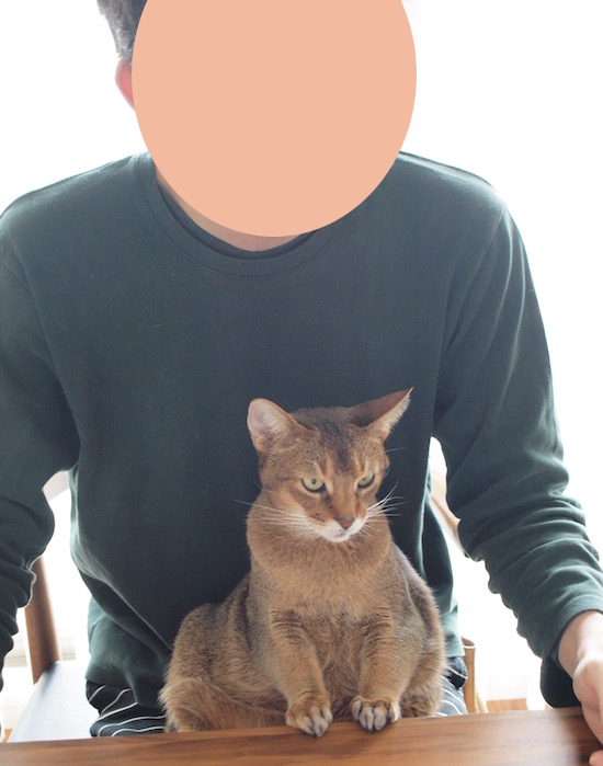 P2110001 のコピー
