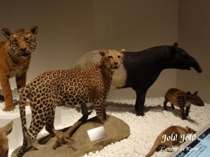 joli!joli!のおうちごはんとおかしとねこ♪