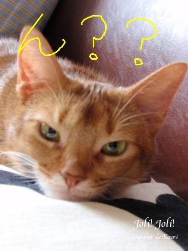 joli!joli!のおうちごはんとおかしとねこ♪