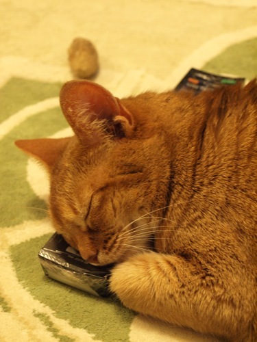 joli!joli!のおうちごはんとおかしとねこ♪