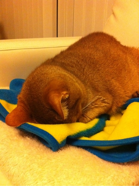 photo:01