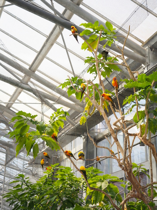P3253599