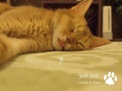 joli!joli!のおうちごはんとおかしとねこ♪