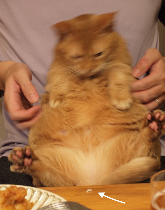 PB210031