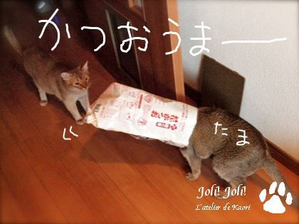 joli!joli!のおうちごはんとおかしとねこ♪