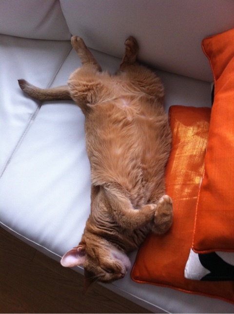 photo:08