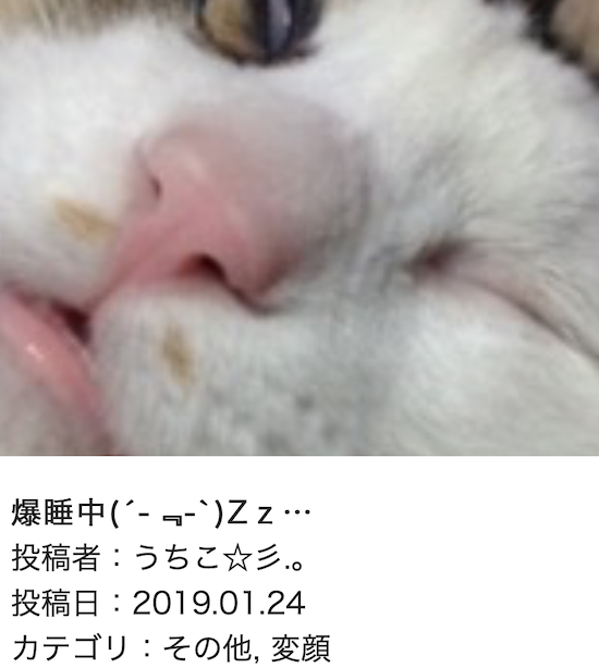 スクリーンショット 2019-01-25 14.35.51