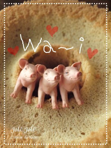 joli!joli!のおうちごはんとおかしとねこ♪